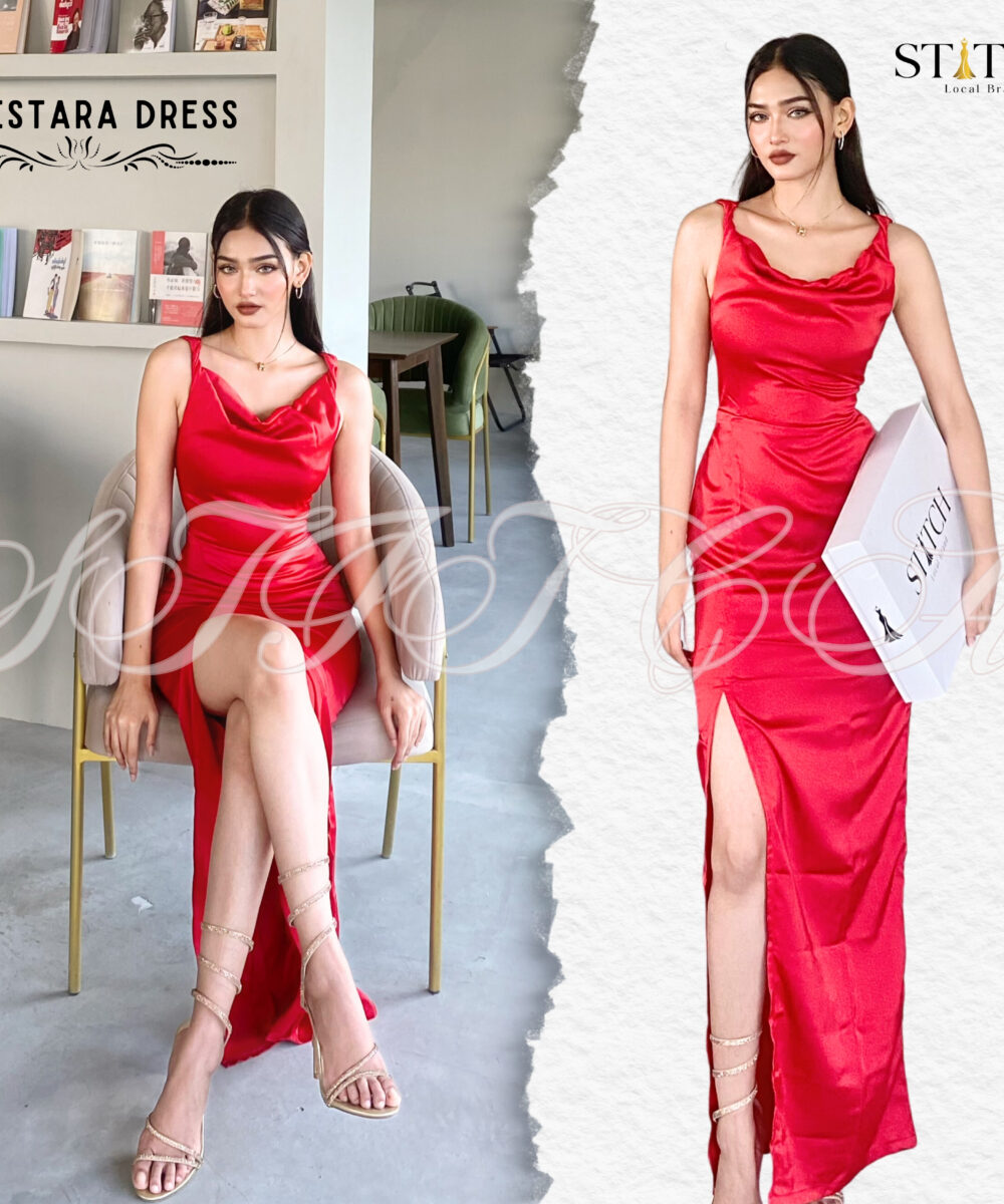 Celestara dress - Image 4
